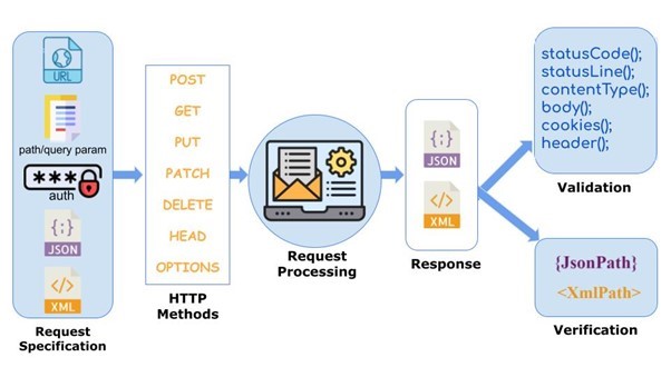 API Testing Expertise